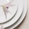 Aida Café Middagstallerken - 4 stk. B 24,3 x L 24,3 cm - Porcelæn - Hvid