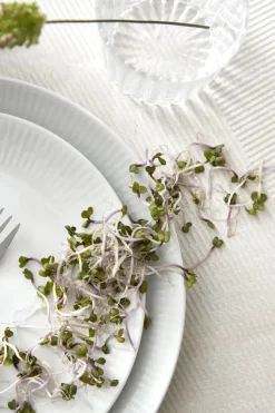 Aida Relief Frokosttallerken - 4 stk. Ø 22 cm - Porcelæn - Hvid