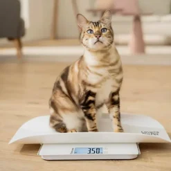 Beurer PP170 Polly Kæledyrsvægt Vejekapacitet: 180 kg - HOLD-funktion - Hvid