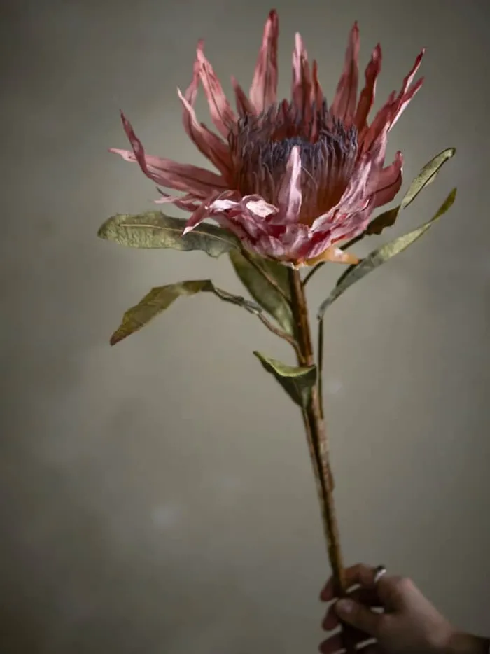 Bloomingville Kunstig blomst - Protea stilk H 100 cm - Polyester - Lyserød