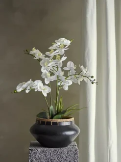 Bloomingville Kunstig Plante - Orchid Ø 16 x H 84 cm - Polyester - Grøn