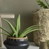 Bloomingville Kunstig Plante - Aloe Ø 19 x H 61 cm - Polyester - Grøn