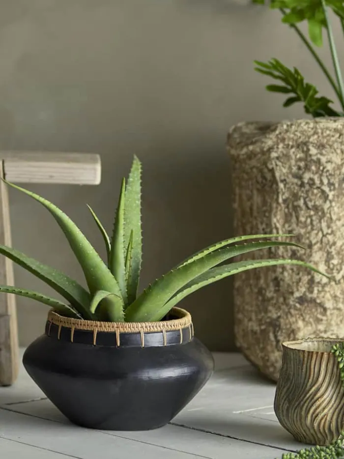Bloomingville Kunstig Plante - Aloe Ø 19 x H 61 cm - Polyester - Grøn