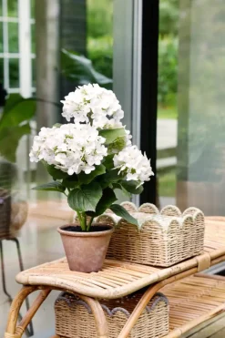 CASA Living Kurv B 24 x L 34 cm - Papirgarn/jern - Natur/lysegrøn
