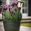 CASA Living Kurv Ø 33 x H 28 cm - Polyethylen - Grøn