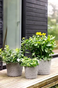 CASA Living Kurv Ø 33 x H 28 cm - Polyethylen - Grå