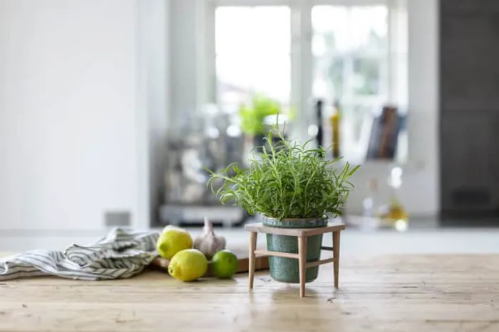 CASA Living Urtepotte Ø 11 cm - Træ/stentøj - Grøn
