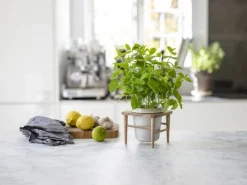 CASA Living Urtepotte Ø 11 cm - Træ/stentøj - Råhvid