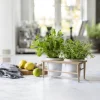 CASA Living Urtepottesæt - 3 dele L 25 cm - Akacietræ/stentøj - Råhvid