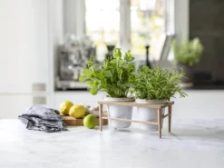 CASA Living Urtepottesæt - 3 dele L 25 cm - Akacietræ/stentøj - Råhvid