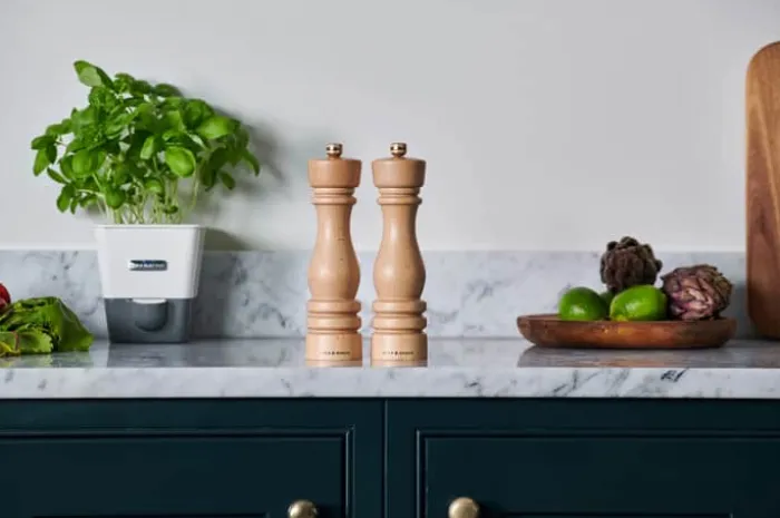 Cole&Mason London Peberkværn H 22 cm - Bøgetræ/rustfrit stål - Natural Beech