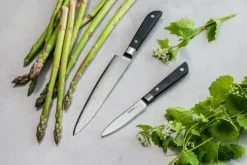 Endeavour Discovery PRO Knivsæt - 2 dele L 8,5/15 cm - Damaskusstål/pakkatræ - Sort