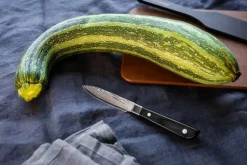 Endeavour Herb Urtekniv L 8,5 cm