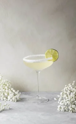 Eva Solo Coupe Champagneglas 20 cl - Mundblæst glas - Klar
