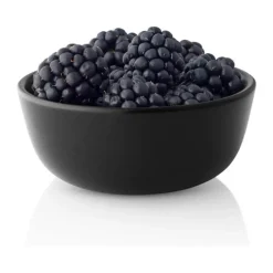 Eva Solo Nordic Kitchen Skål Ø 10 cm - Stentøj - Sort