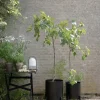 Eva Solo Simply Grow Potteskjuler B 42 x H 51 cm - Aluminium/galvaniseret stål