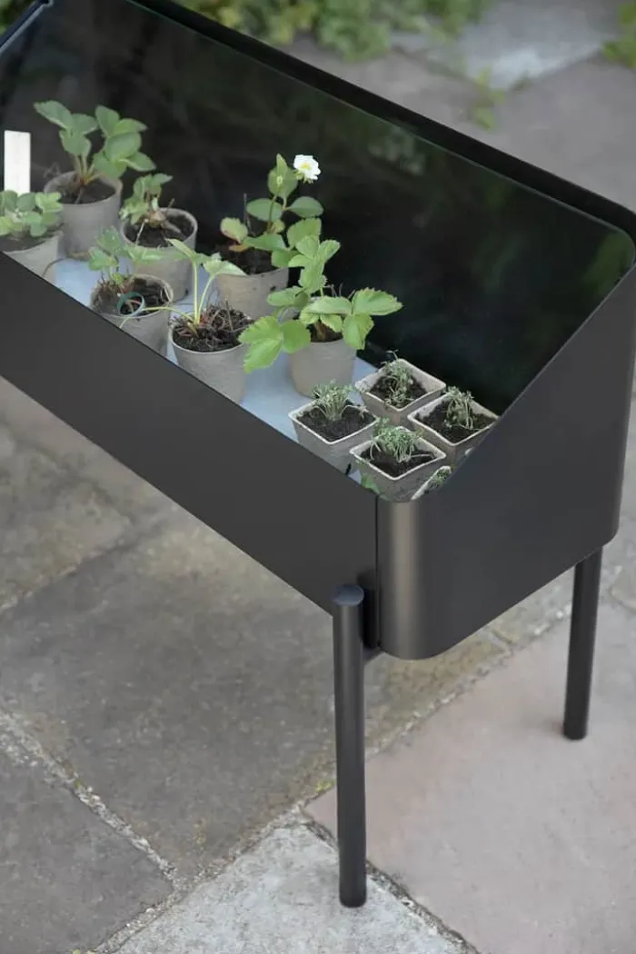 Eva Solo Simply Grow Spire Plantekasse B 80 x L 33 x H 63 cm - Aluminium/Hærdet glas