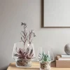 Eva Solo Sukkulent Vase Ø 21 cm - Glas
