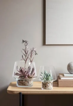 Eva Solo Sukkulent Vase Ø 21 cm - Glas
