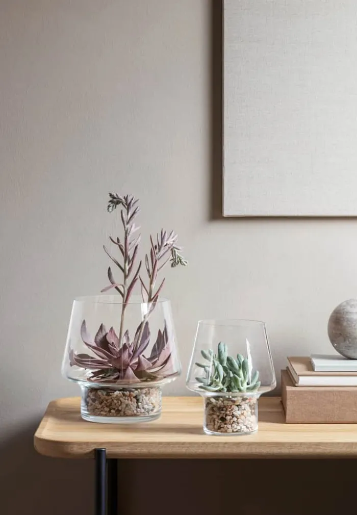Eva Solo Sukkulent Vase Ø 21 cm - Glas