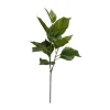 everbloom Kunstig Blomst - Hortensiablad H 70 cm - Plastik/metal - Grøn