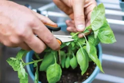 Fiskars Garden Snip Urtesaks SP220 Blade i rustfrit stål