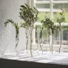 Gus Glasvase H 20 cm - Glas - Klar