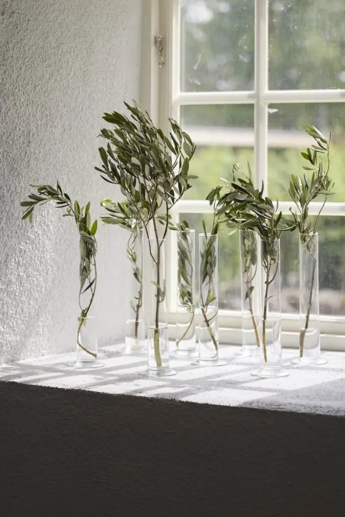 Gus Glasvase H 20 cm - Glas - Klar