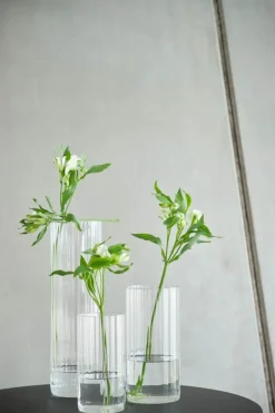 Gus Rill Glasvase Ø 10 x H 30 cm - Glas - Klar