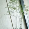 Gus Ruby Glasvase H 40 cm - Glas - Klar