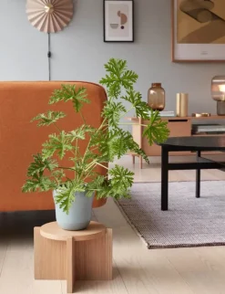 Hübsch Nomad Plantestander Ø 30 x H 20 cm - Egetræ/MDF - Natur