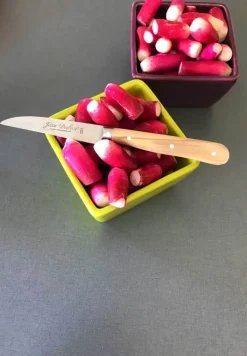 Jean Dubost 1920 Urtekniv Rustfrit stål/oliventræ - Ecofriendly