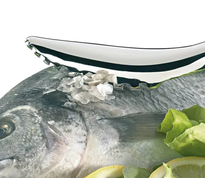 Küchenprofi Fiskeskælskraber L 19 cm - Rustfrit stål