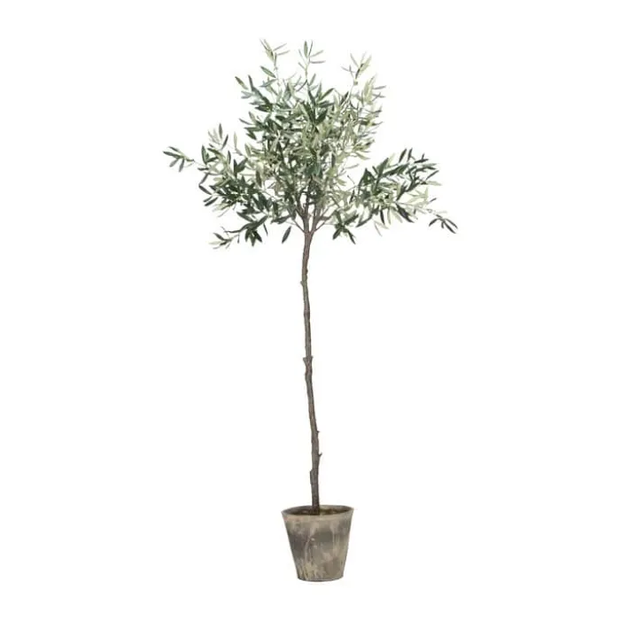 Lene Bjerre Flora Kunstig Oliventræ H 160 cm - Kunststof - Grøn