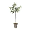 Lene Bjerre Flora Kunstig Oliventræ H 73 cm - Kunststof - Grøn