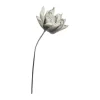 Lene Bjerre Happia dekorationsblomst B 17 x H 68 cm - Grå