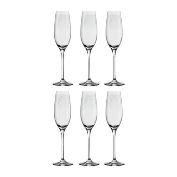 Leonardo Champagneglas - 6 stk. 20 cl - Glas - Klar