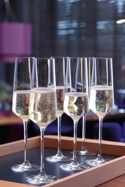 Leonardo Puccini Champagneglas - 6 stk. 28 cl - Glas - Klar