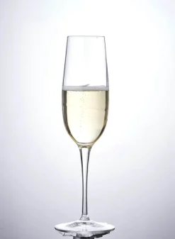 Luigi Bormioli Aero Champagneglas - 6 stk. 23,5 cl - Glas - Klar