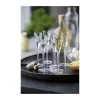 Lyngby Glas Snapseglas - 6 stk 2,5 cl - Mundblæst glas - Klar