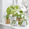 Lyngby Porcelæn Flowerpot Urtepotteskjuler H 13 cm - Porcelæn - Hvid