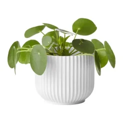 Lyngby Porcelæn Flowerpot Urtepotteskjuler H 13 cm - Porcelæn - Hvid