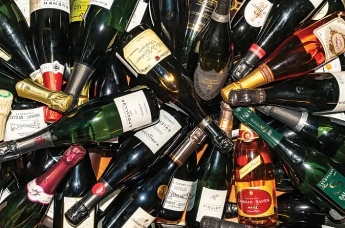 New Mags Better with Bubbles: Traveling the World through Champagne and Sparkling Wine - Af Ariel Arce 208 sider - Hardcover