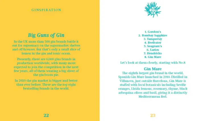 New Mags The Little Book of Gin Af Orange Hippo!