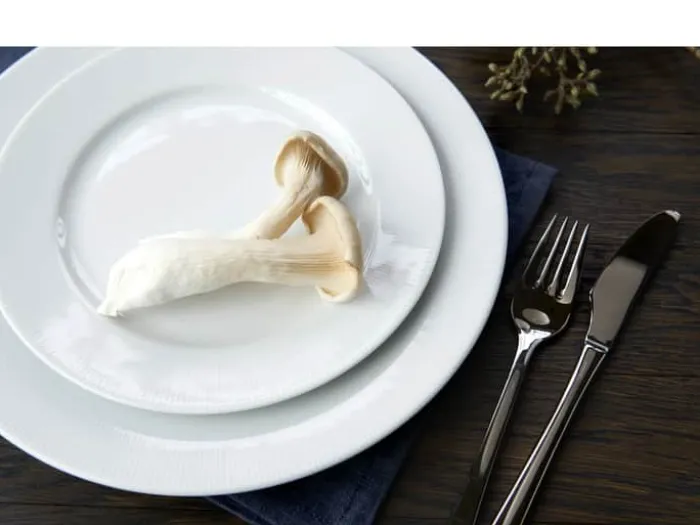 Pillivuyt Eventail Tallerken Ø 28 cm - Porcelæn - Hvid