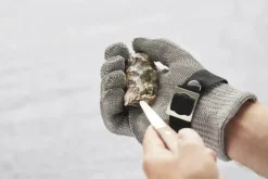 Point Virgule Østerskniv m. skærm L 7,3 cm - Rustfrit stål/plastik/træ - Natur