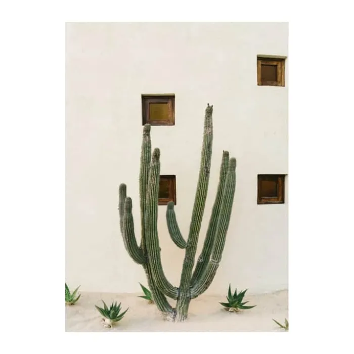 Poster&Frame Plakat - Cabo cactus B 21 x L 29,7 cm - Papir