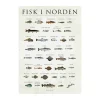 Poster&Frame plakat - Fisk i Norden B 30 x L 40 cm - Papir