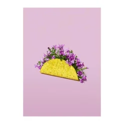 Poster&Frame plakat - Flower taco B 70 x L 100 cm - Papir - Lilla/gul