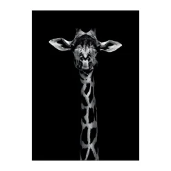 Poster&Frame Plakat - Giraffe Portrait B 50 x L 70 cm- Papir - Sort